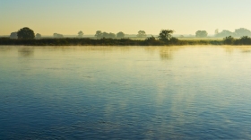 Elbe bei Tangermünde mit Morgennebel