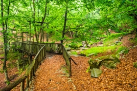 Ano Milia - Path of Love - The Bridge