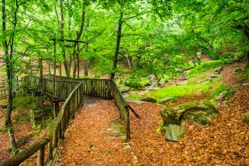 Ano Milia - Path of Love - The Bridge