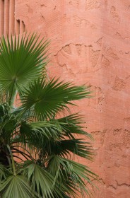 barcelona_gaudi_palm_contrast.jpg