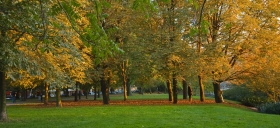 Park_in_berlin_Spreeufer.jpg