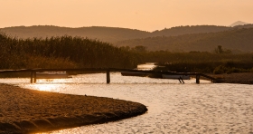 Sunset Creek