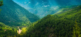 Forests of Euboae - a hikers paradise