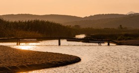 Strand bij Kria Vrisi (Euboea) met riviertje