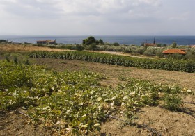 0302_Feld