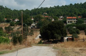 0312_Damia
