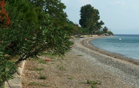0314_Ortsstrand_Rovies