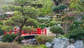 09 Monaco - Jardin Japonois
