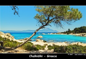 Beacht with Tree: Chalkidiki Greece