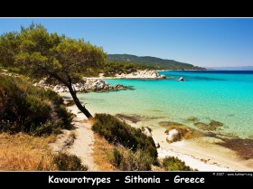 Kavourotrypes on Sithonia