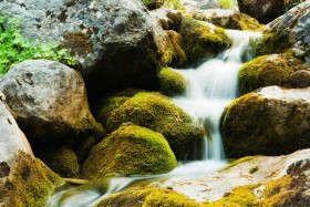 Creek at Mount Olympus