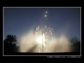 4049483-lg.jpg