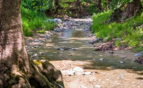 A small creek
