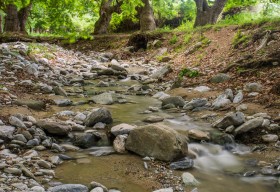 Little creek in beautiful surrounding