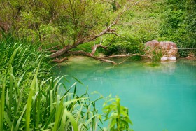 Polilimnio - groen water