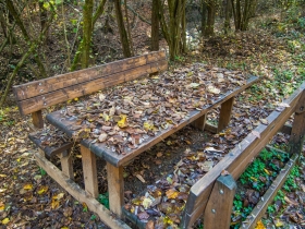 Picnic met herfstbladeren