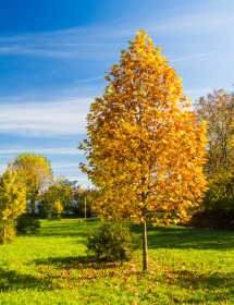 Een park in Bergamo met mooie kleuren tijdens de herfst